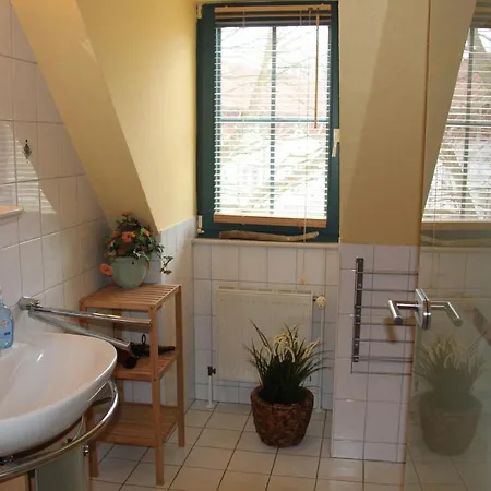 Neu! Graugans 600 Meter Vom Prerow