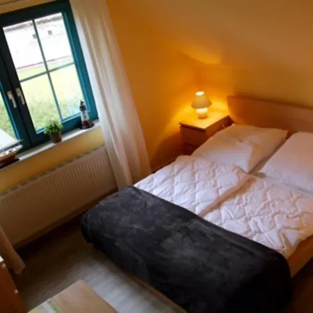 Neu! Graugans 600 Meter Vom Apartament Prerow