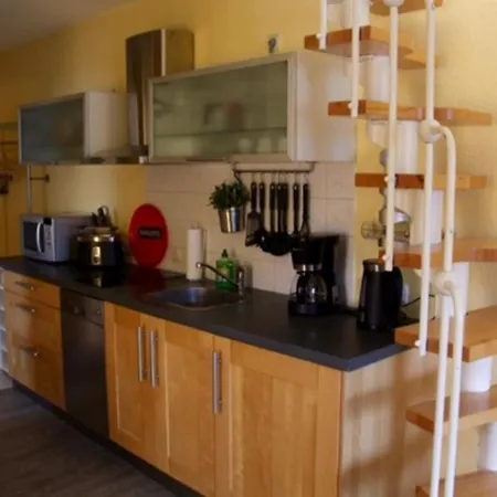 Neu! Graugans 600 Meter Vom Apartmán