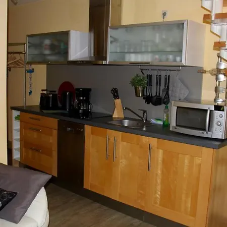 Neu! Graugans 600 Meter Vom *