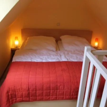 Neu! Graugans 600 Meter Vom *